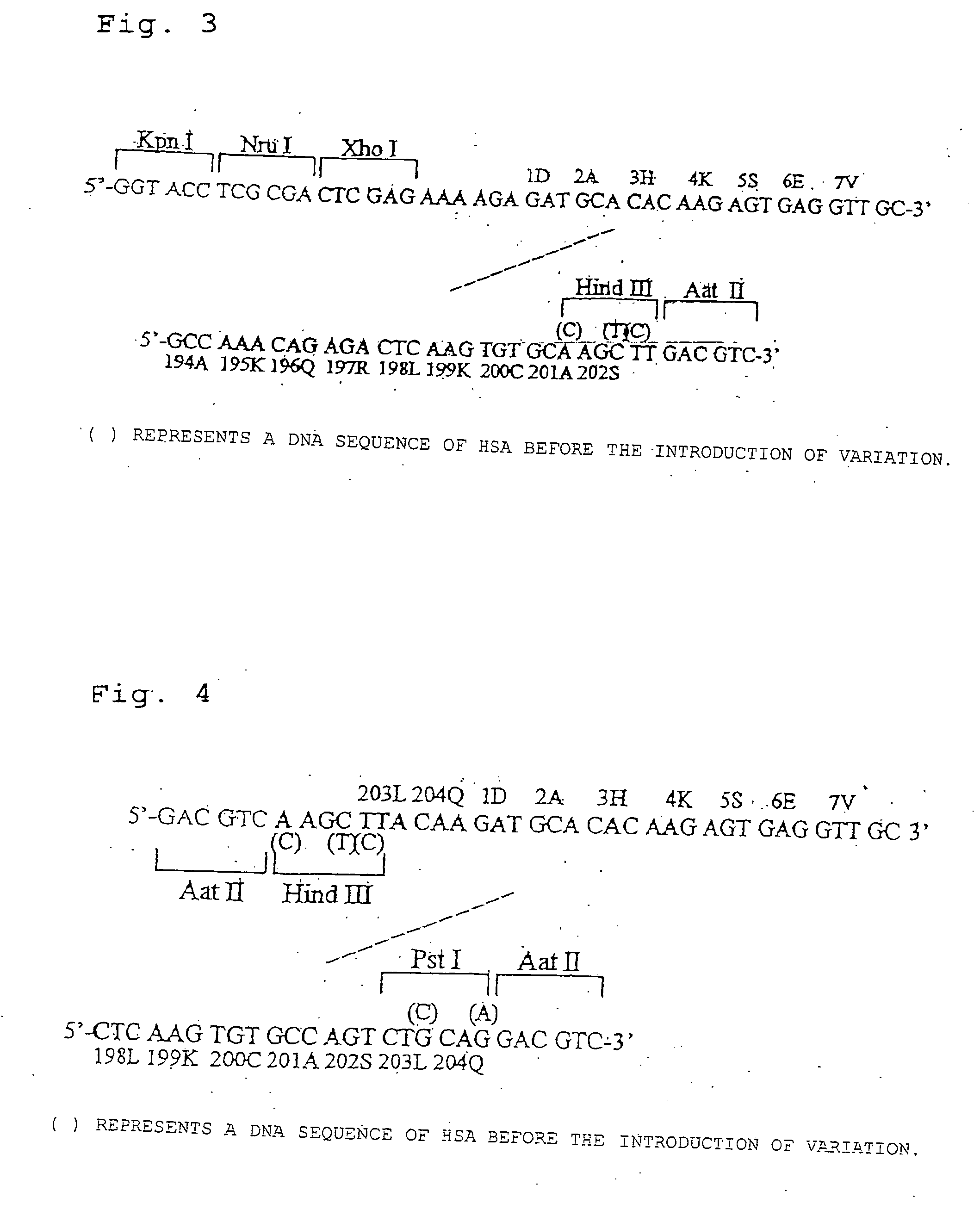 Protein containing serum albumin domain