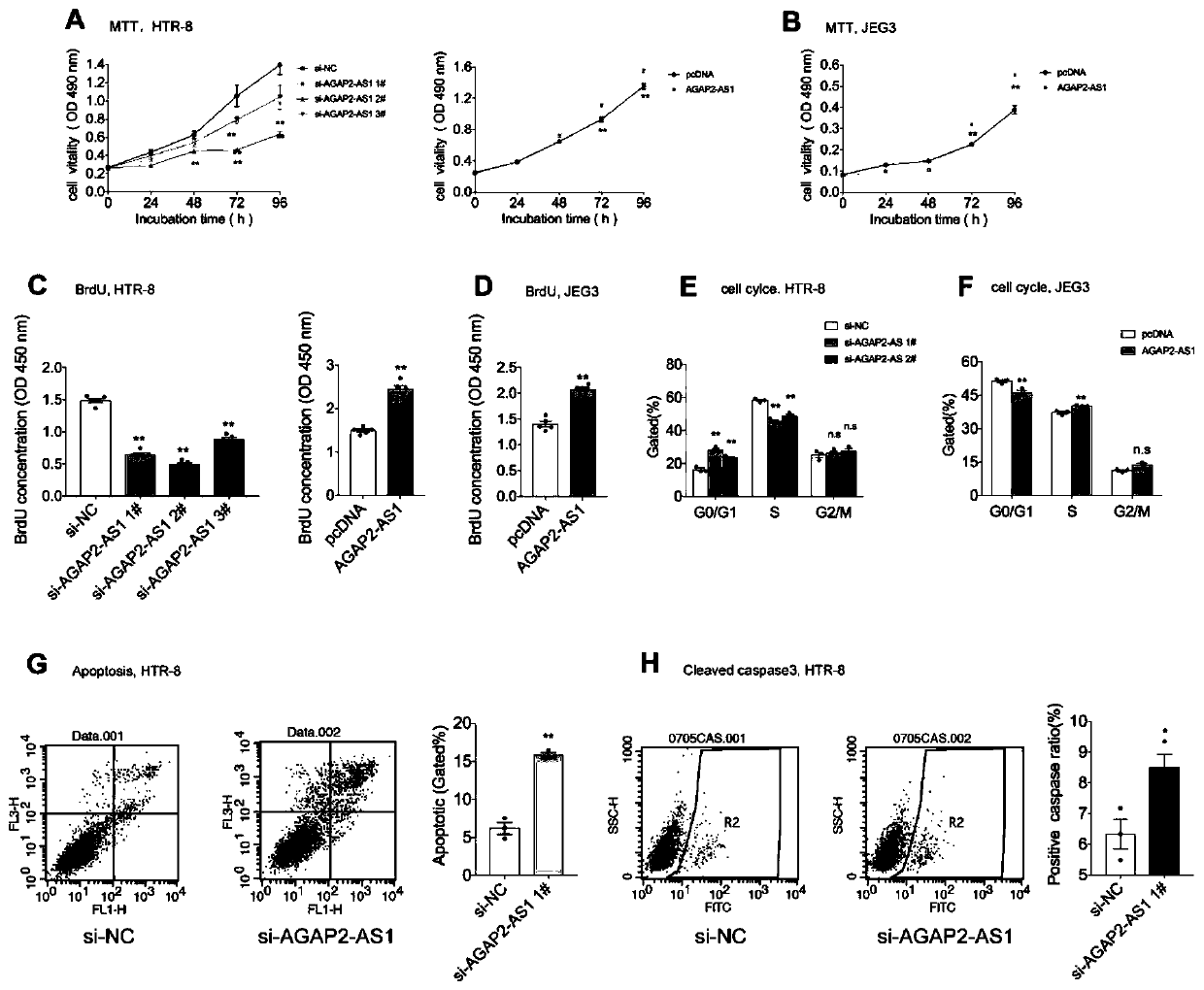 Long non-coding RNA and application thereof in diagnosis/treatment of preeclampsia