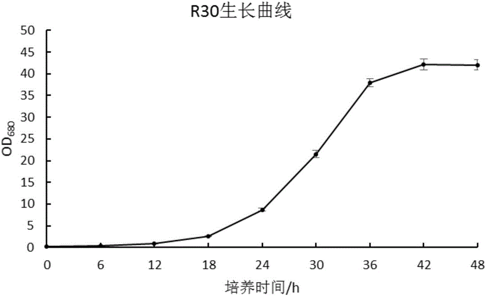 Method for removing aflatoxin B1 (AFB1) by use of fusarium and enzyme produced by fusarium