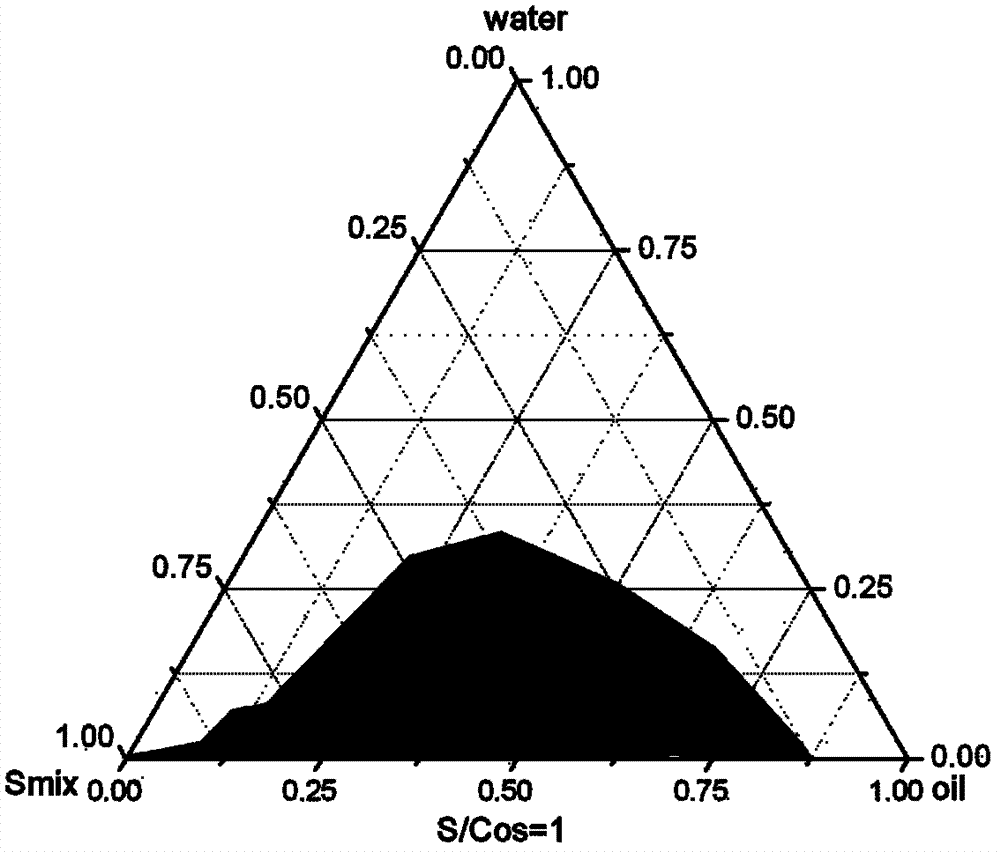 siRNA (small interfering ribose nucleic acid) micro emulsion carrier and preparation method of siRNA micro emulsion carrier