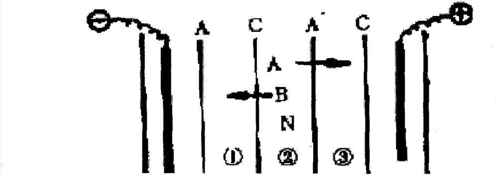 Preparation method of ornithine aspartate