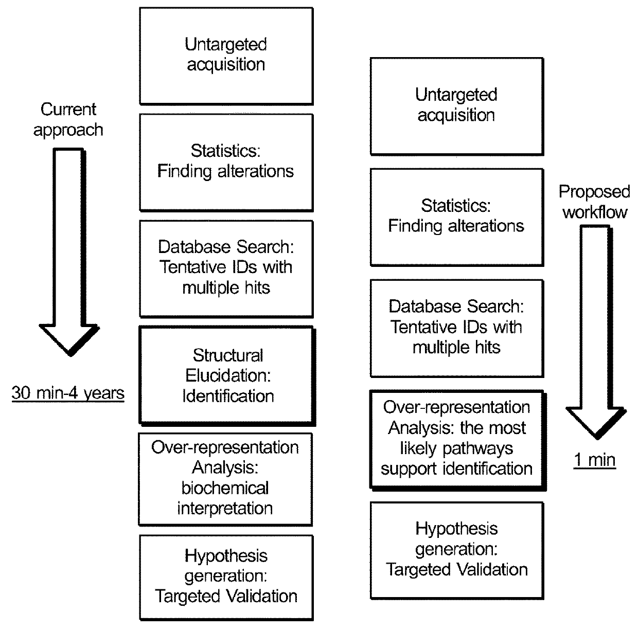 Metabolic pathway and metabolite identification