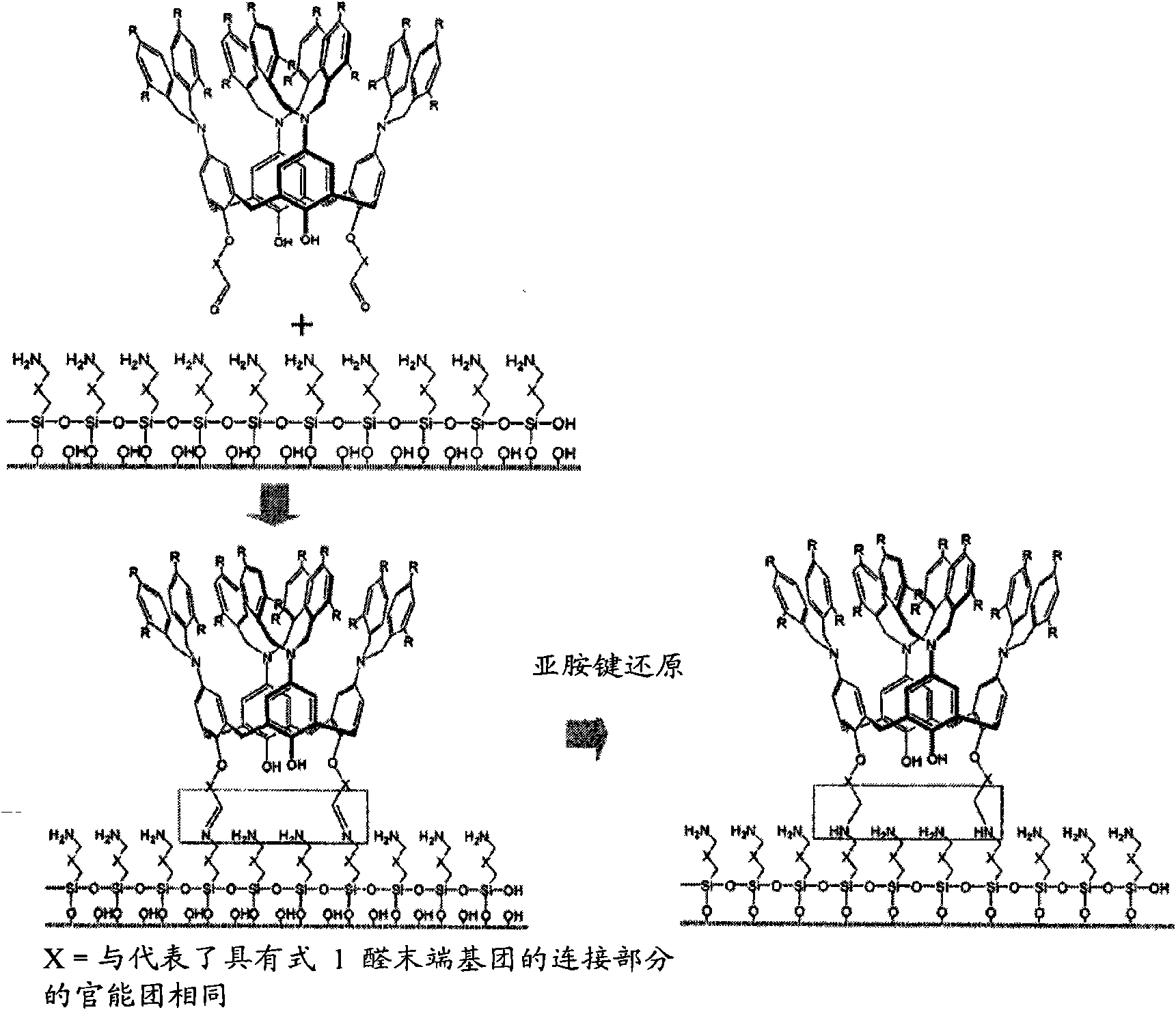 Modified glass fibers with monolayers of aminocalixarene derivatives and iminecalixarene derivatives, and oligo-dna modified glass fibers by fixing oligo-dna's to the monolayers, and the preparation m