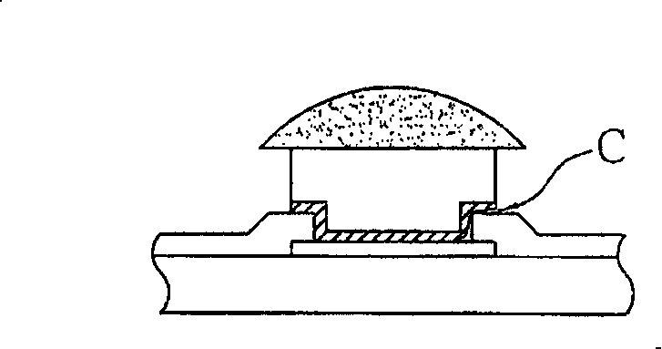 Semiconductor device has conductive projection and its manufacturing method