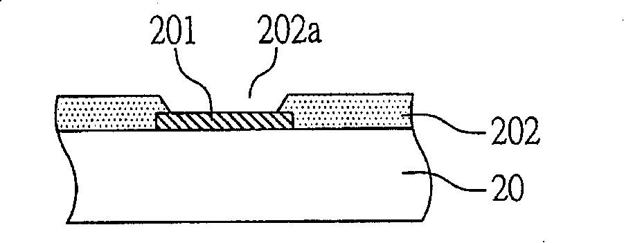 Semiconductor device has conductive projection and its manufacturing method