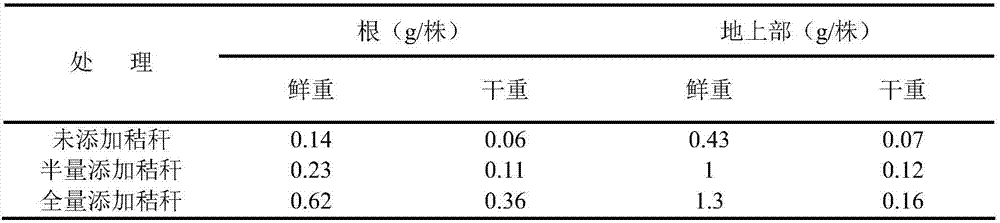 Method for using asparagus officinalis L. straw biological preparation to increase biomass of pepper seedlings