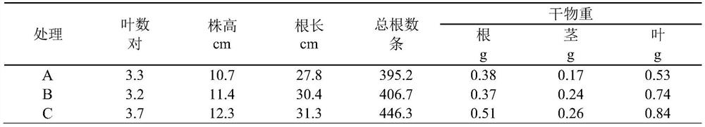 A special hydroponic nutrient solution for sesame and preparation method thereof