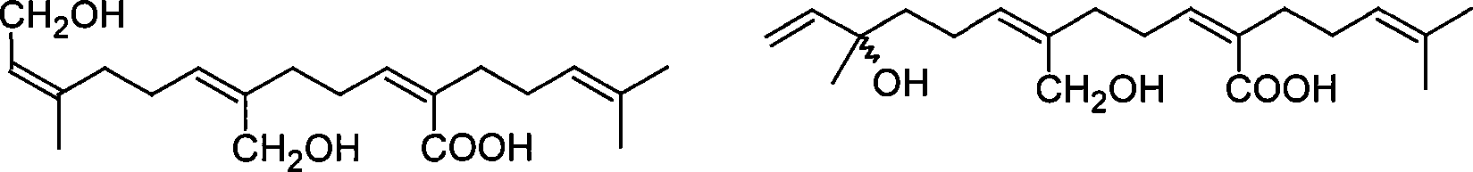 Yacon antidiabetic extract and preparation method