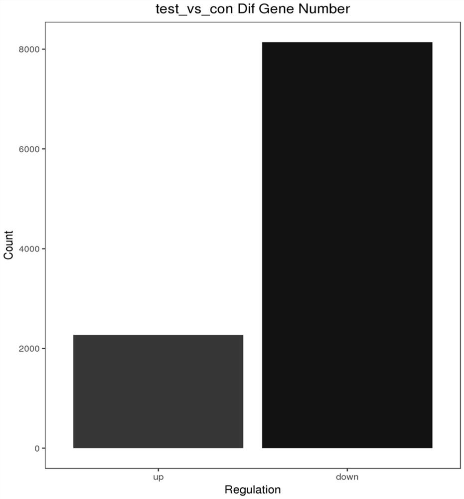 A method for predicting spindle assembly checkpoint abnormalities in triple-negative breast cancer using lncRNA-mRNA co-expression network