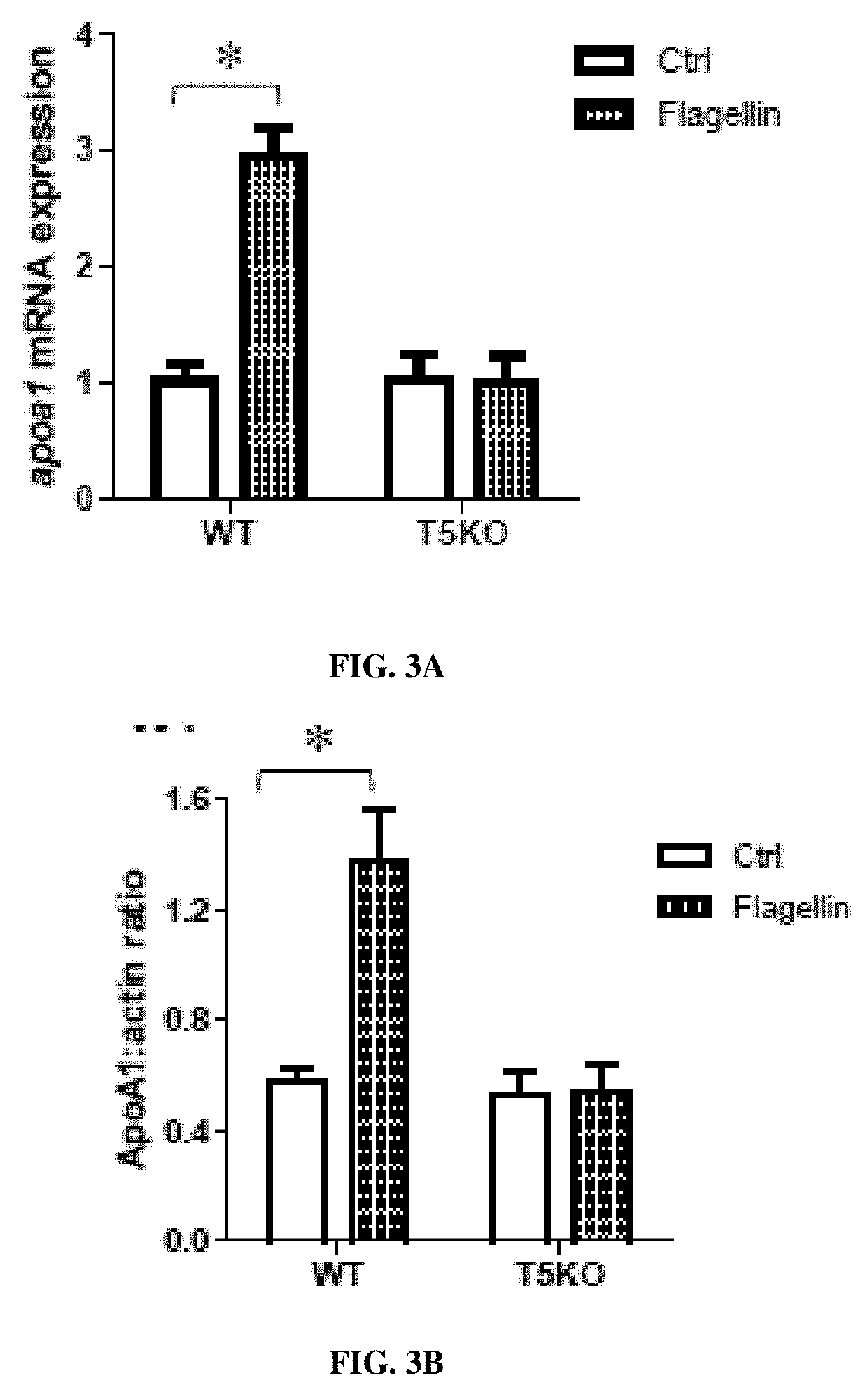 Compositions of toll-like receptor 5 (TLR5) agonist and methods of use thereof