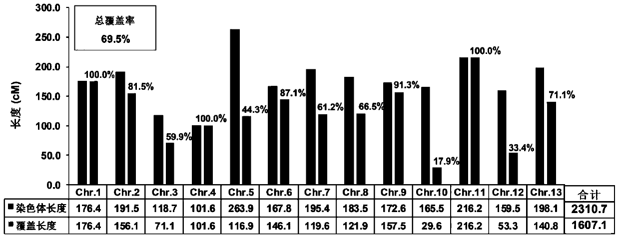 SSR molecular marker associated with cotton short stalk and high lint percentage