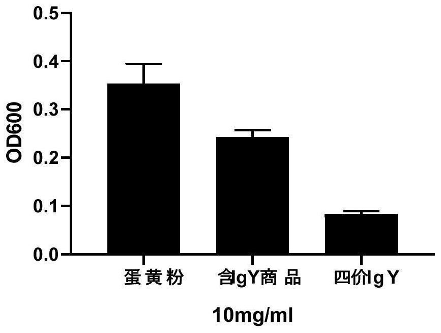 Hp tetravalent antigen as well as preparation method and application thereof