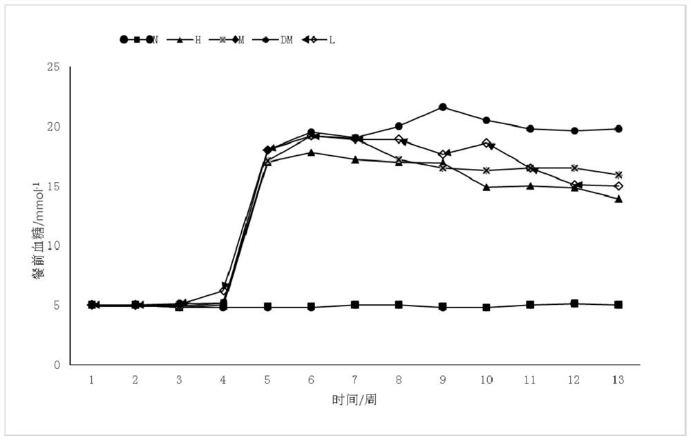 Lactobacillus reuteri and application thereof in reducing lipopolysaccharide concentration and improving insulin resistance