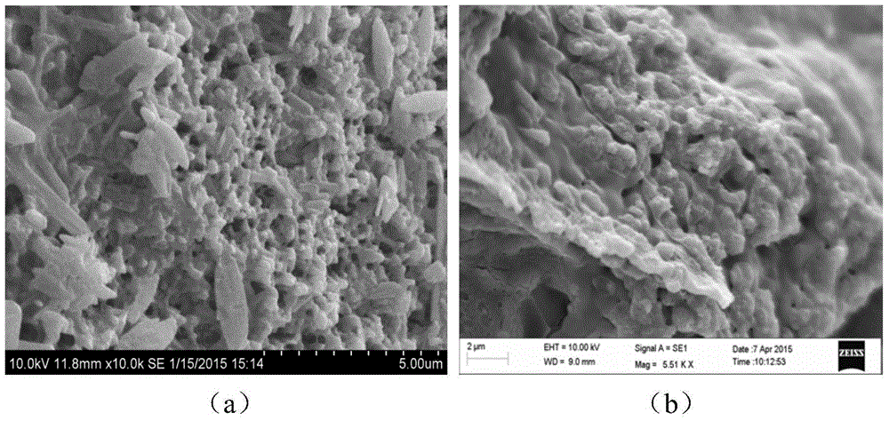 Environmentally-sensitive hydrogel and method and application for preparing hydrogel by using bamboo shoot scraps