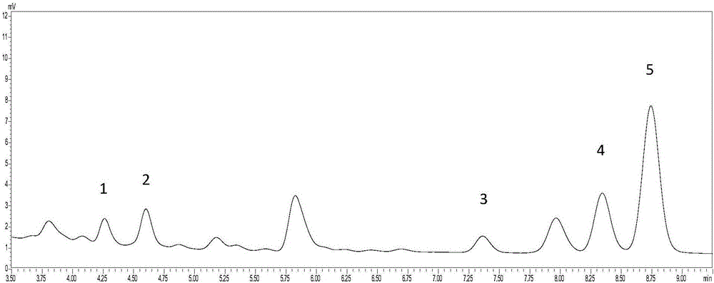 Method for simultaneously detecting five triterpene acid components in Cornus officinalis by utilizing UFLC method