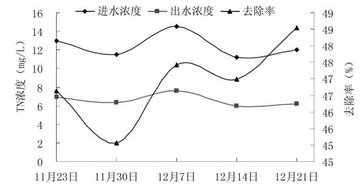 Application of berberis julianae schneid in purification of livestock and poultry breeding biogas slurry