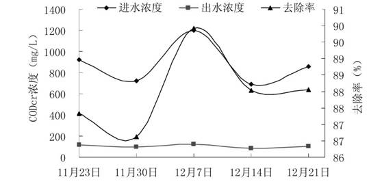 Application of berberis julianae schneid in purification of livestock and poultry breeding biogas slurry