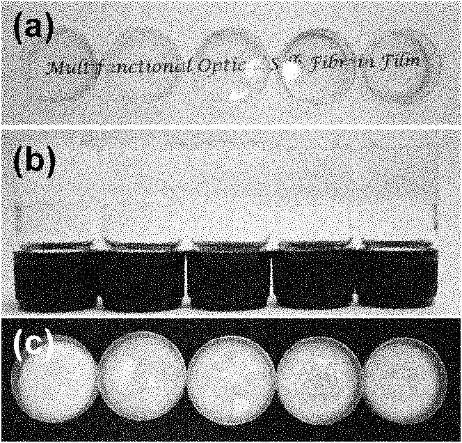 Two-photon fluorescence biological silk material and preparation method thereof