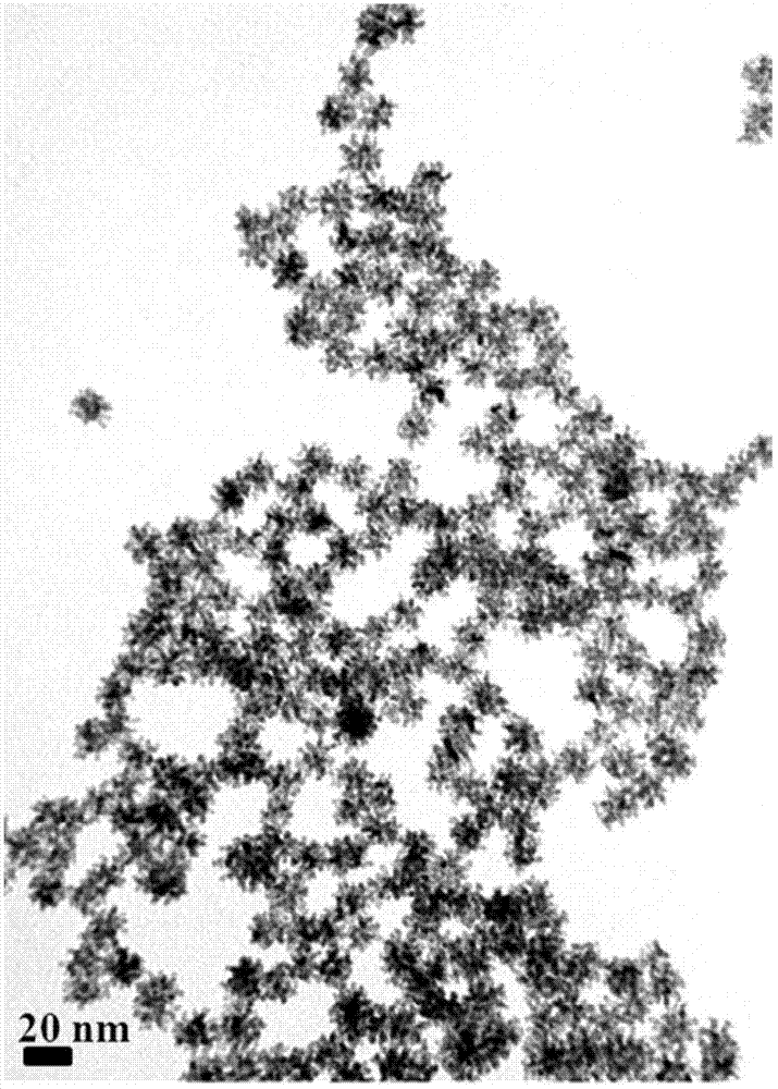 Light-driven regulation preparation method and electrocatalysis activity of nanometer material