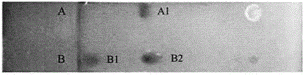 Acinetobacter junii for producing bio-surfactant and application of acinetobacter junii