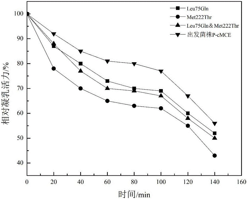 Rennin mutant with improved enzyme activity and thermal stability