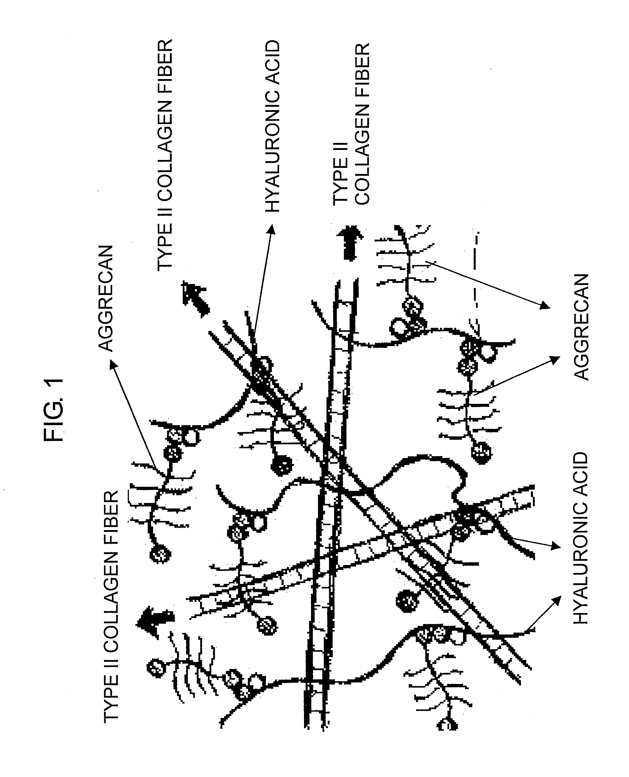 Biomaterials for regenerative medicine