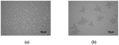 Pretreatment method of graphene growth substrate