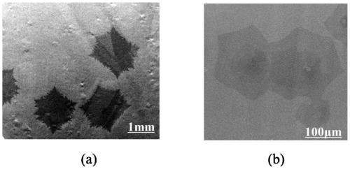 Pretreatment method of graphene growth substrate