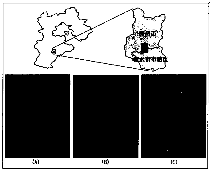 A Method of Rural Residential Land Use Based on Active and Passive Remote Sensing Data