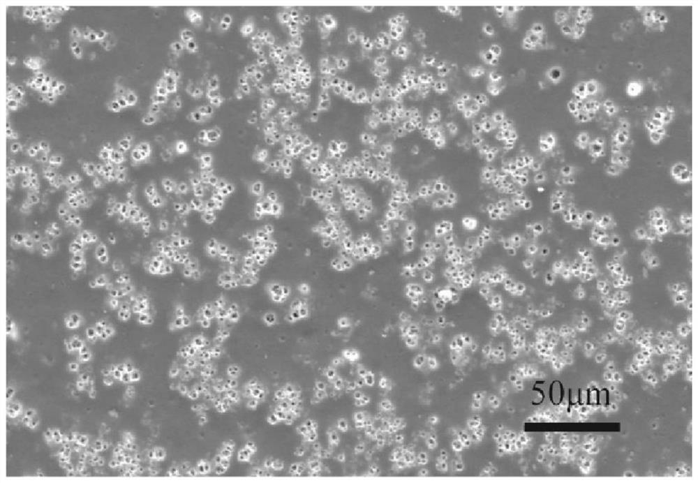 High-resolution scintillator film, preparation method, preparation equipment and application