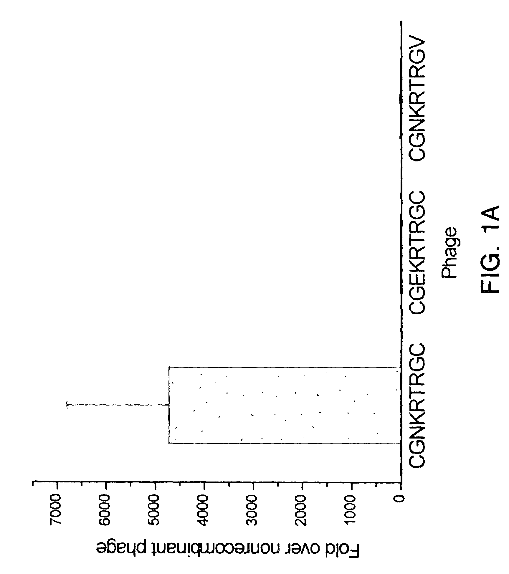 Peptides that home to tumor lymphatic vasculature and methods of using same