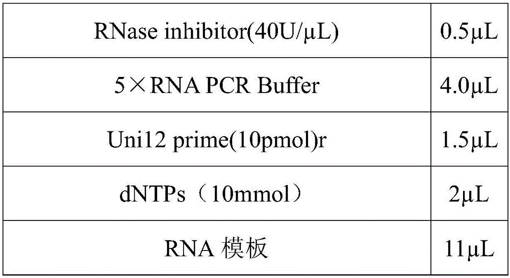 Pigeon paramyxovirus 1 strain AF-1 and application thereof