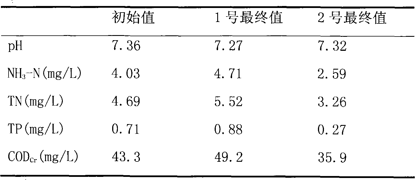 Composite medicament for fixing nitrogen and phosphorous in riverbed sludge, and preparation and application method thereof