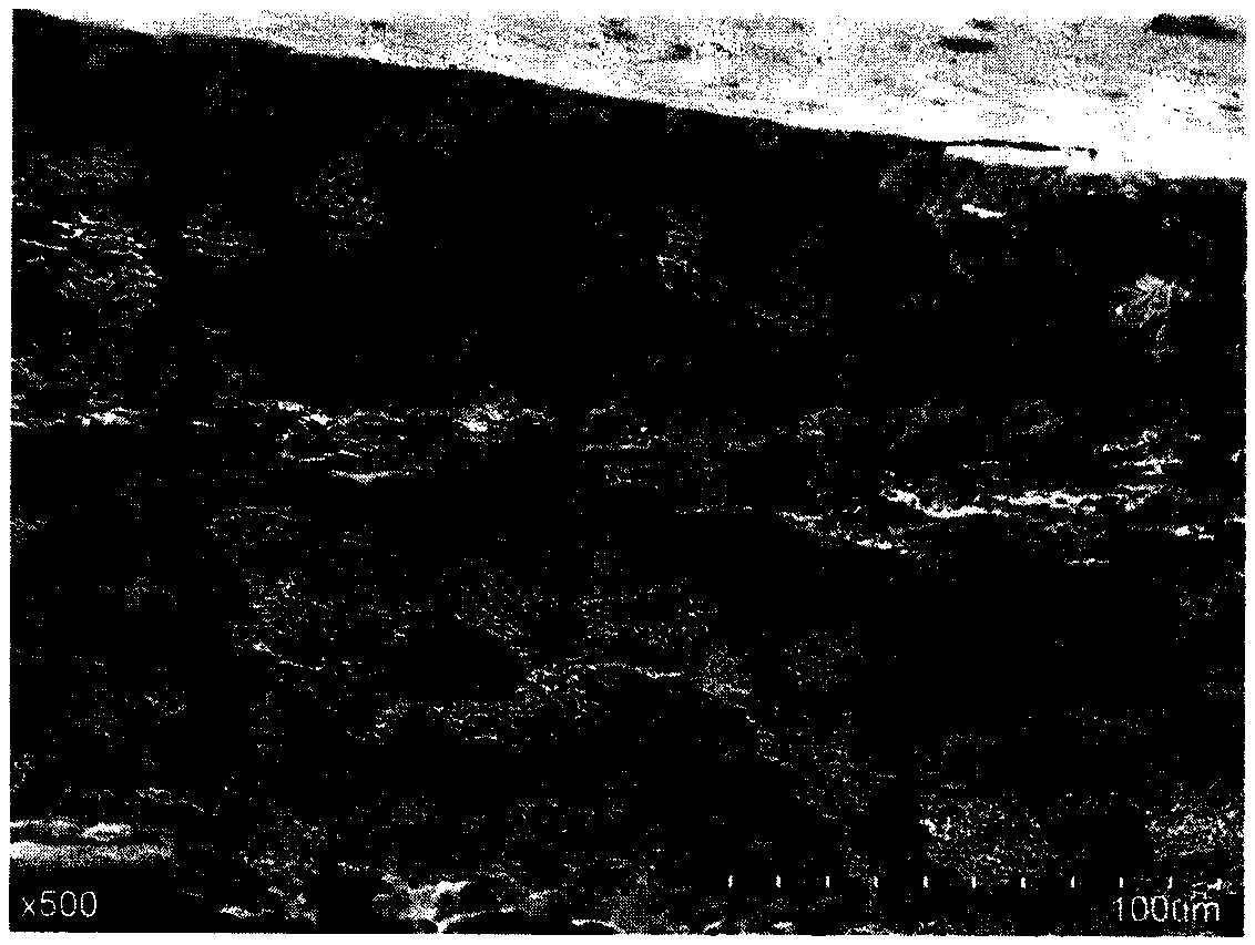 Method for preparing high-density polyethylene/ethylene-vinyl acetate blended hydrophobic microporous membranes