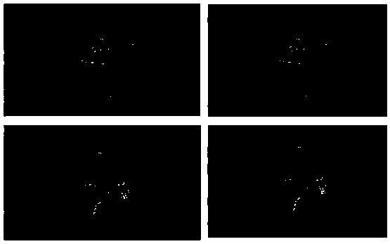 Tooth mineralization bleaching difunctional paste, preparation method and application