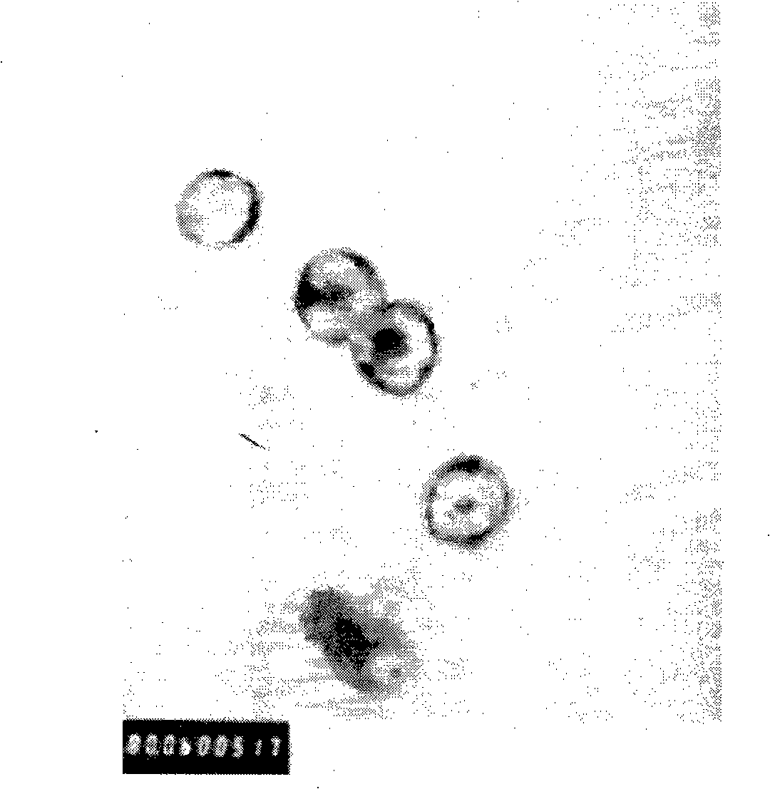 Method for preparing hollow metal nano-particle with gamma-aluminum oxide nano-particle as mould plate