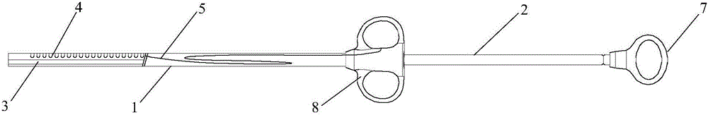 Excised tissue extractor