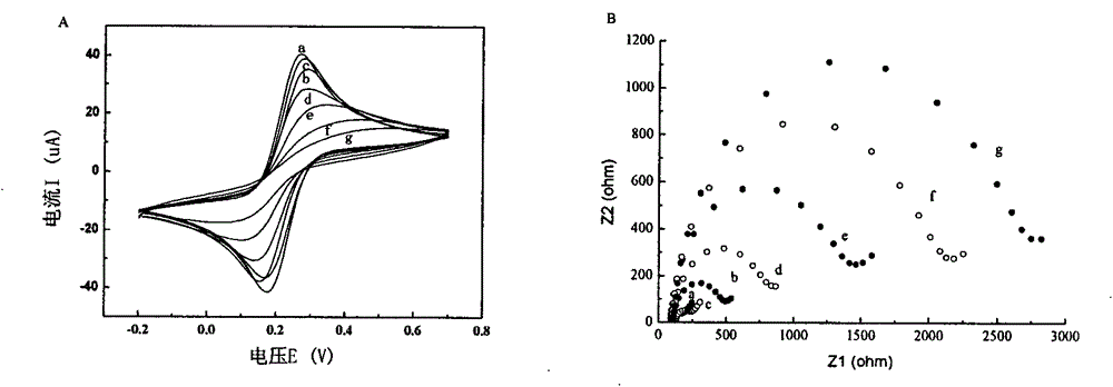 Electrochemical immunosensing method for detecting Listeria monocytogenes