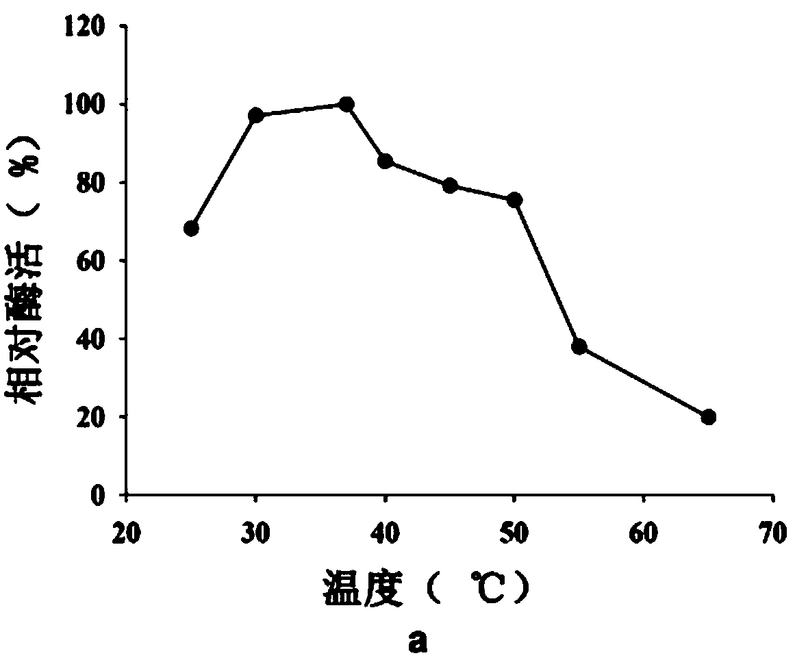 Lactobacillus plantarum capable of producing ferulic acid esterase