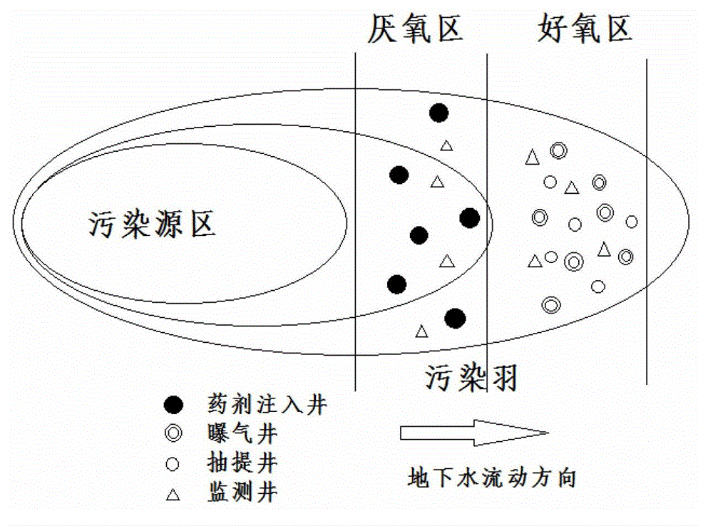 Method for in-situ bioremediation of pollution caused by chlorohydrocarbon of underwater