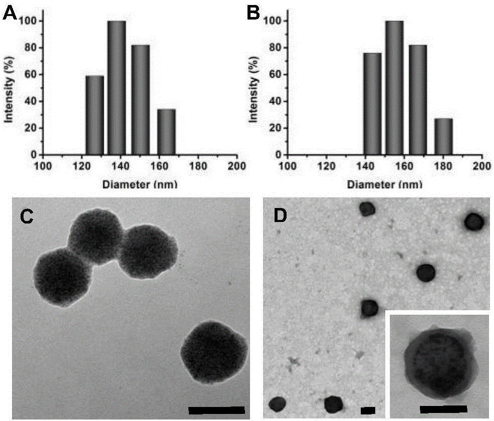 Nanometer vesicle capable of simultaneously achieving RNA interference and MR imaging and preparation method and application thereof