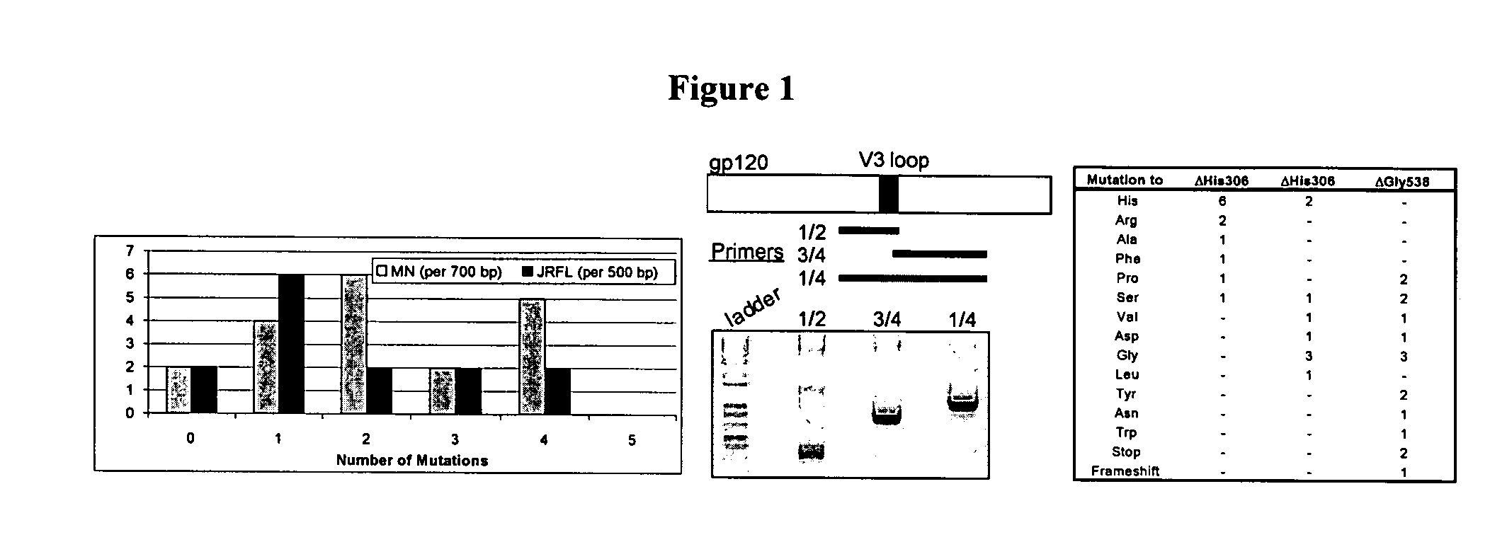 Reverse transfection of cell arrays for structural and functional analyses of proteins