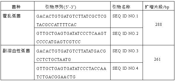 GeXP analysis method for synchronous detection of vibrio cholera and vibrio parahaemolyticus in food