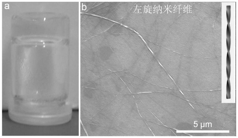 Left-handed chiral nanogel cell scaffold material and preparation method thereof