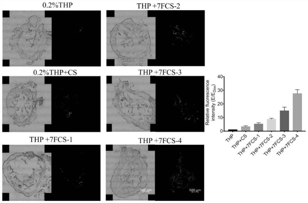 Application of fluorine-containing compound modified cationic polymer as drug carrier and preparation method