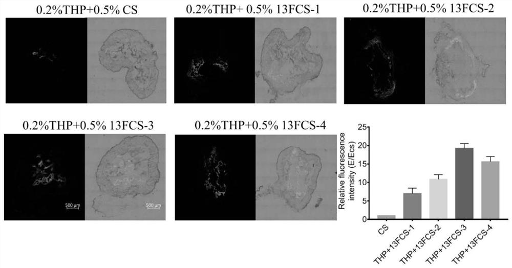 Application of fluorine-containing compound modified cationic polymer as drug carrier and preparation method