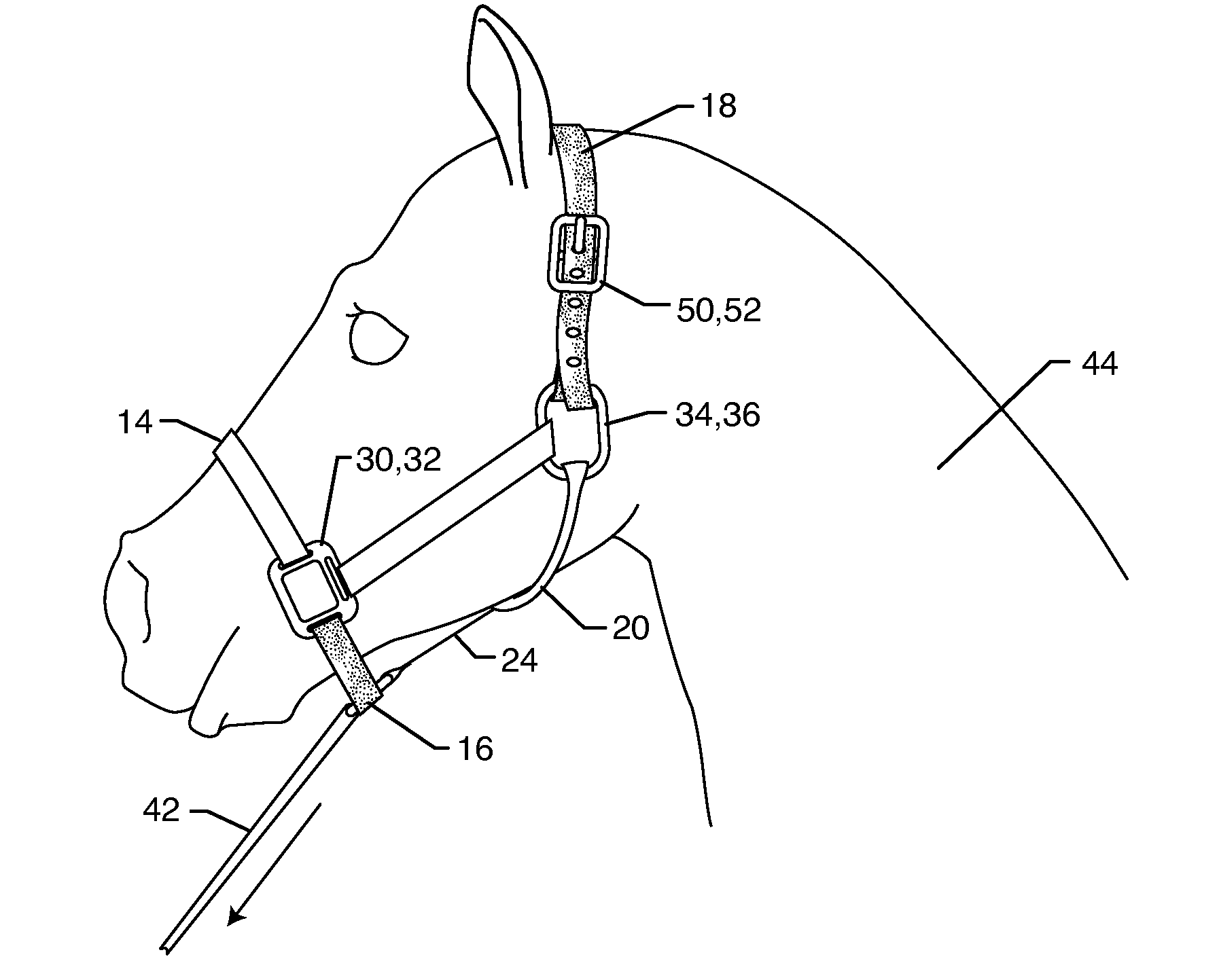 Horse training halter