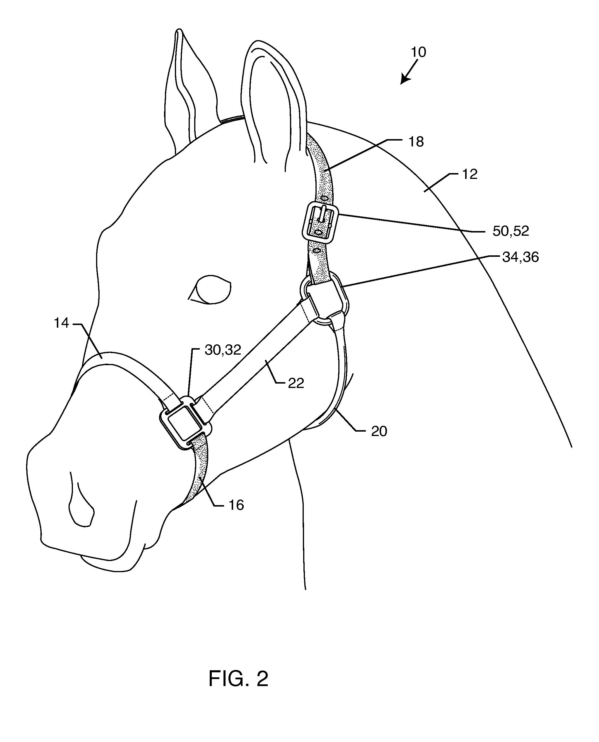 Horse training halter