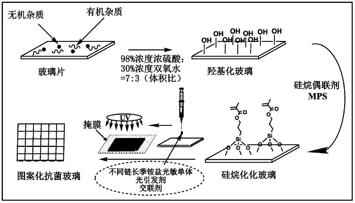 Method of preparing glass with surface antibacterial property by photopolymerization