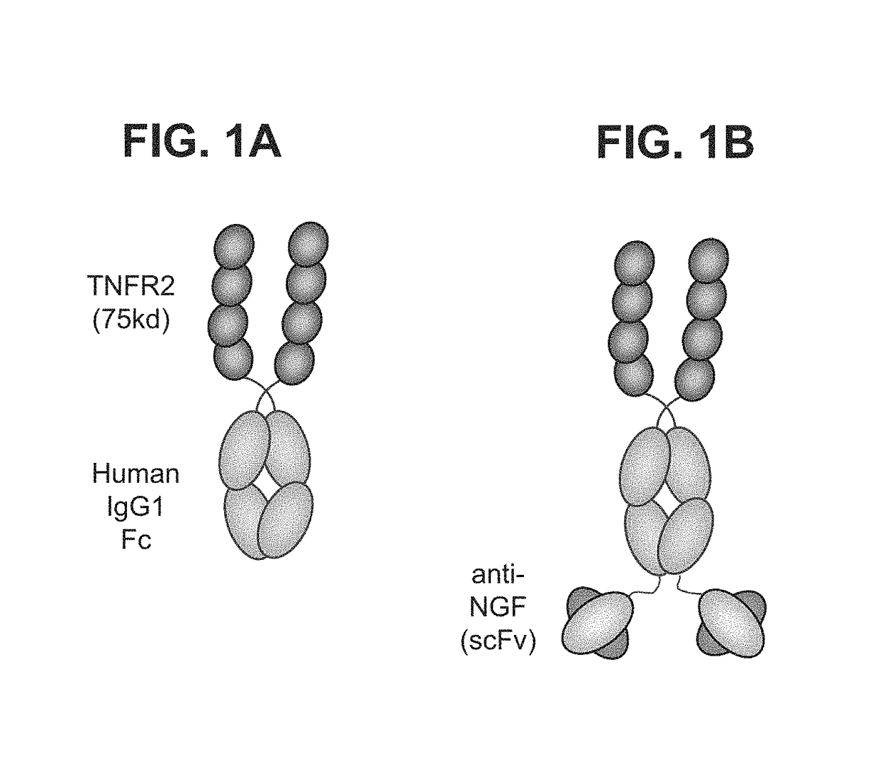 Compounds and methods for treating pain